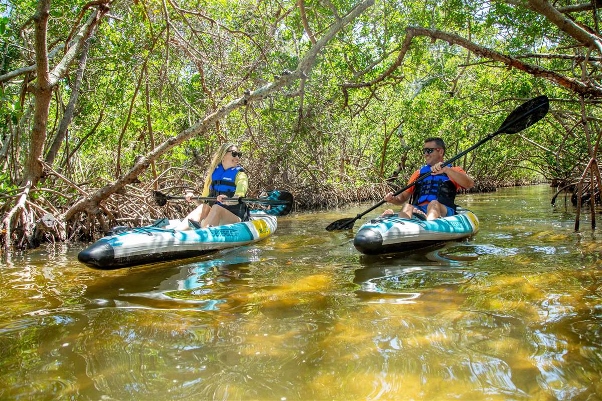 Paddle the peaceful mangroves of sunny Florida's hard to reach locations