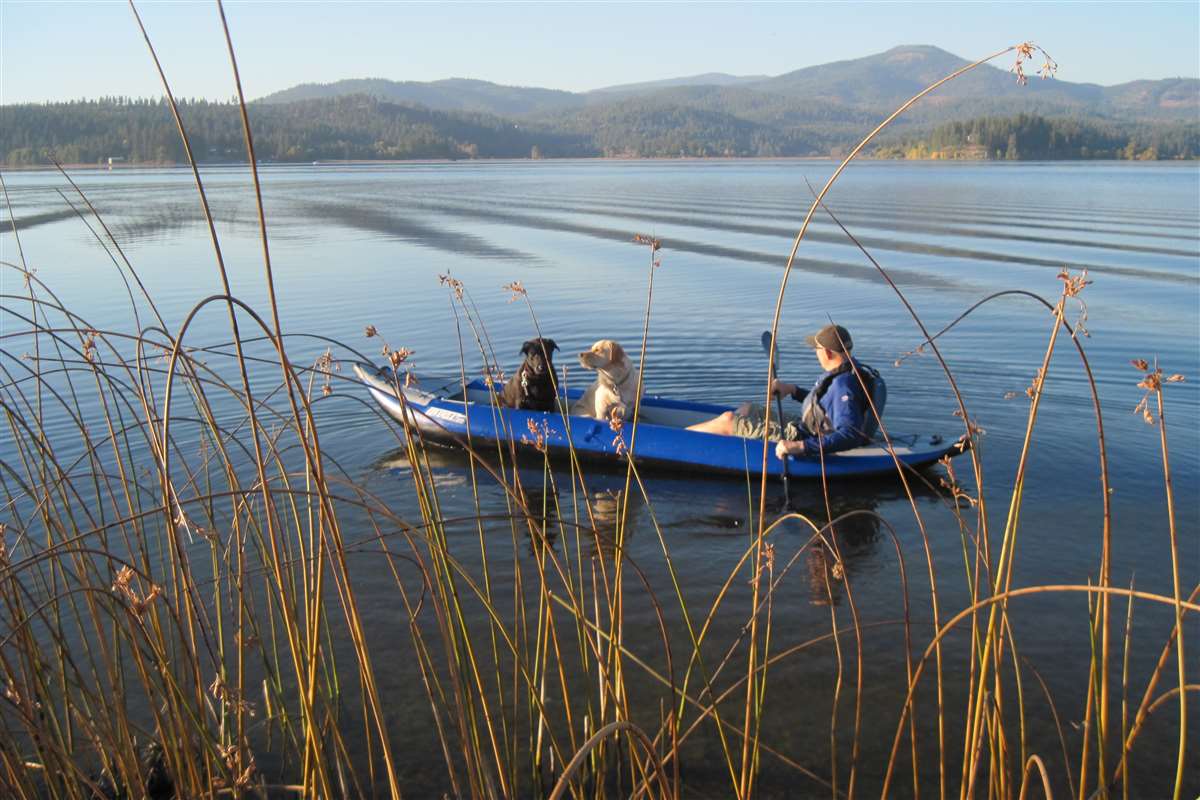 Explorer kayaks are great enjoyment and durable enough for my furry friends