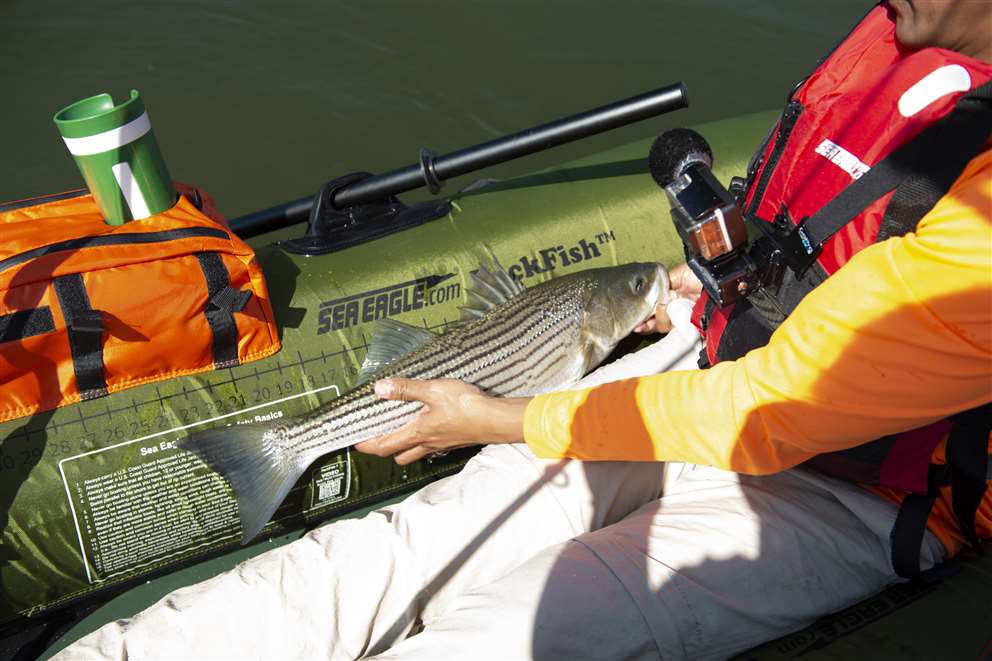 Sea Eagle PackFish7™ 1 person Inflatable Fishing Boat. Package Prices starting at 399 plus FREE