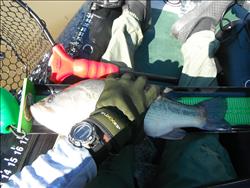 Raymond Jones with their 385fta FastTrack™ Angler